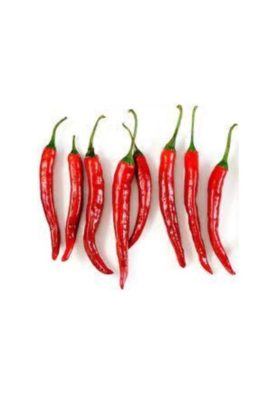 30 Adet Tohum Şili Biberi Tohumu Saksılık Çok Acı Chili Biberi Tohumu Saksı Toprak Sürpriz Hediye