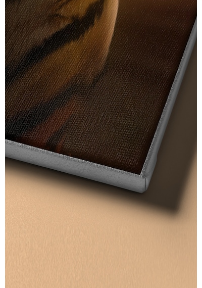 Webstyle Sayılarla Boyama Seti Kasnaklı Kaplan Ve Gece 60 X 75 Cm