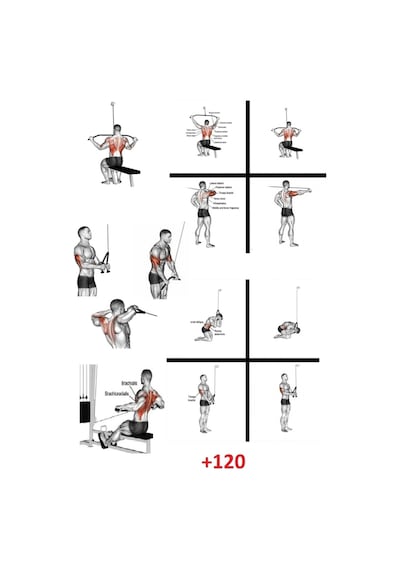 Duvar Tipi Cable Crossover Lat Puldown & Pushdown ,Row ,Biceps ,Triceps Omuz Çalışma Istasyonu