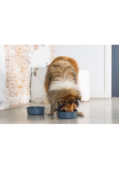 Beeztees Dbl Köpek Mama Su Kabı, Mat Siyah Paslanmaz Çelik, 20cm, 1,9l