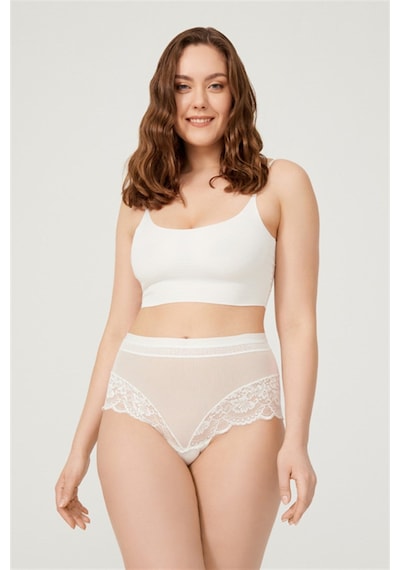 Cottonhill Dantel Detaylı Transparan Büyük Beden Bikini Külot 3'lü Paket Çok Renkli 1 Çok Renkli