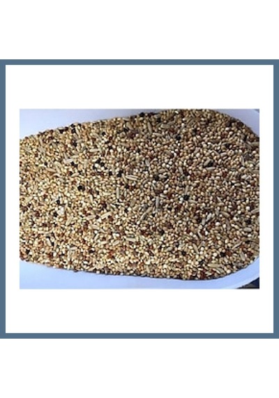 Buradabulabilirsin Sude Life Muhabet Kuşu Yemi 800 Gr Bbz