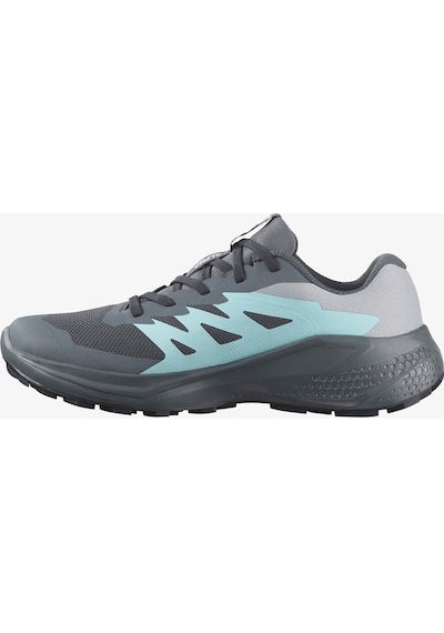 Salomon Kadın Koşu/fıtness Ayakkabı Alphaglıde Gore-tex L47802500 Gri