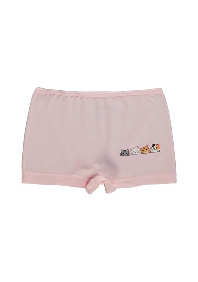 Artı Çorap-kare Tekstil Artı Çorap Catler 2'li Kız Boxer - Standart Çok Renkli