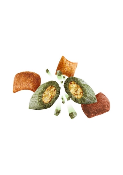 Dreamies Shakeups Multivitaminli Deniz Ürünleri Kedi Ödül Maması 6 x 55 G