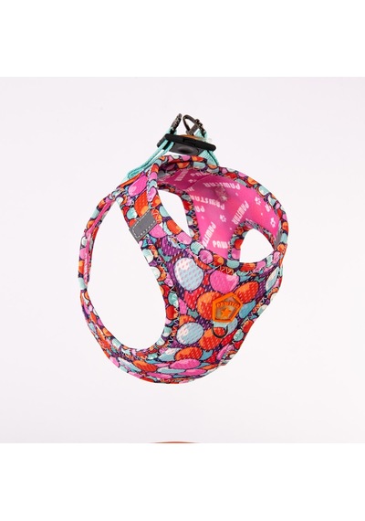 Pawstar Balloons Air-mesh Göğüs Tasması Kedi Köpek Göğüs Tasması Xlarge Çok Renkli