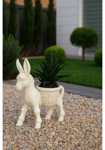 Donkey Sukulent & Kaktüs Dekoratif Saksı
