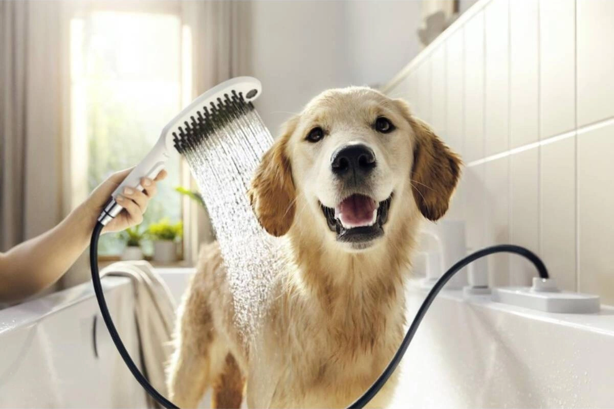 Hansgrohe Dogshower Köpek El Duşu 150 3jet Satin Beyaz Beyaz