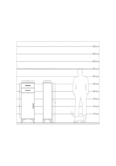 Arges Dolap 2 Raflı 2 Çekmeceli Tek Kapaklı 44x30x134 Çam-aytaşı Çam Arges Dolap 2 Raflı 2 Çekmeceli Tek Kapaklı 44x30x134 Çam-aytaşı Çam