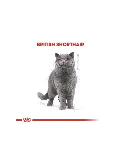 Royal Canin British Shorthair Pouch Yetişkin Kedi Konservesi 85 Gr