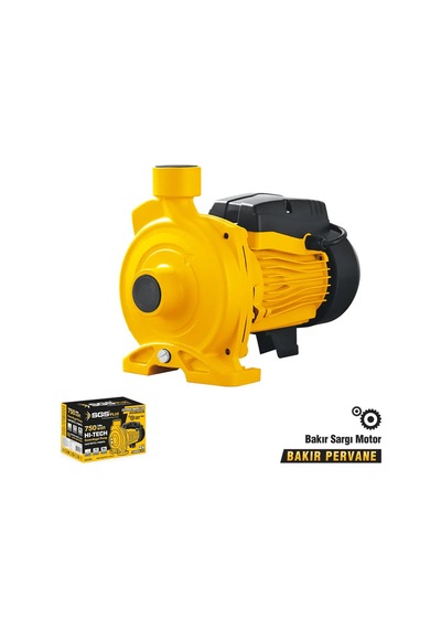 Sgs5386 Santrifüj Su Pompası 750 Watt 1.0 Hp Su Çekme Dinamosu Bakır Sargı