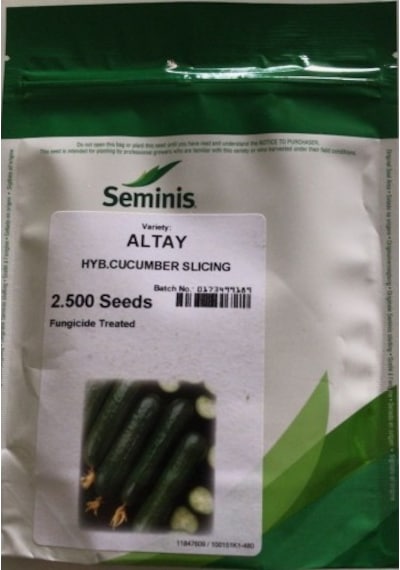 Seminis Hıyar Salatalık Tohumu Altay F1 2500 Adet Tohumluk