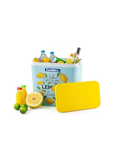 Ayrex Coolist Clb30lm Limon Desenli Buzluk, 30 Litre + 3 Adet Buz Kaseti 400gr Diğer