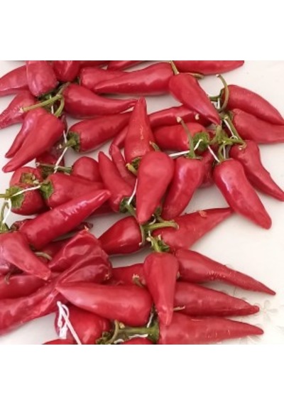 Arnavut Çüçka Çok Acı Biber Tohumu 10 Ad