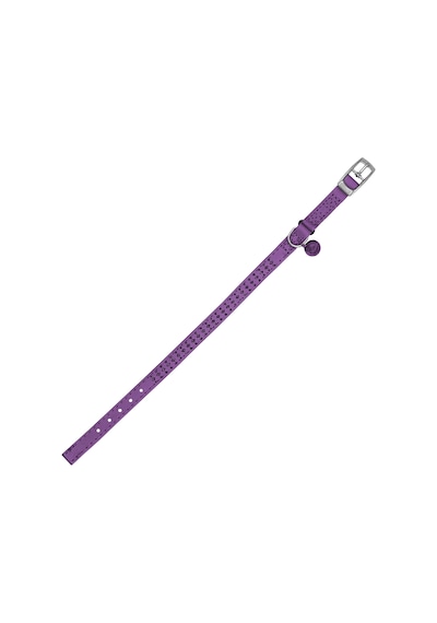 Royalist PC-13 Taşlı Kedi-Köpek Tasması 10mm*30cm Mor