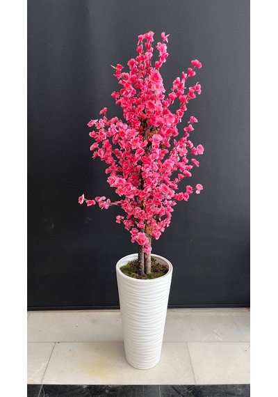 160 Cm Pembe Bahar Dalı Ağacı Kumsal Plastik Saksıda