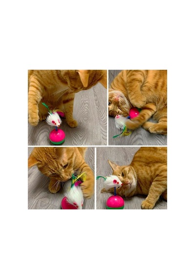 Devrilmeyen Denge Toplu Peluş Fare Yavru Kedi Eğlence Aparatı
