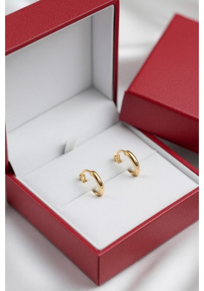 Çekirdekjewelry 925 Ayar Gümüş Düz Sade Halka Küpe Sarı