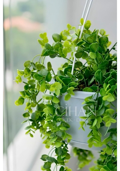 Askılı Saksıda Yapay Sarkan Okaliptus - 90 Cm Balkon Ve Teras Çiçeği Diğer