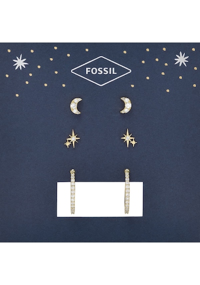 Fossil Jgftset1050 Kadın Küpe Seti