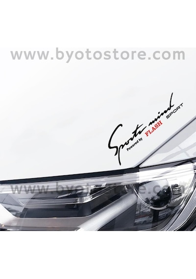 Renault Flash Için Sports Mind Oto Sticker