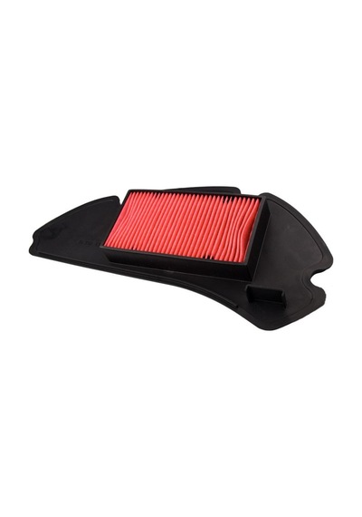 Honda Dylan 02-07 Champion Caf0112Ws Hava Filtresi