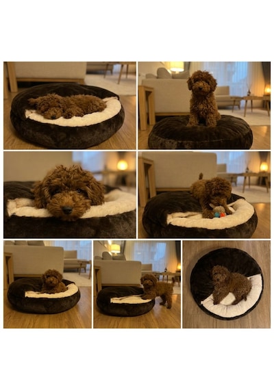 Kanguru Model Yuvarlak Kedi/köpek Yatağı