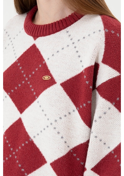 U.S. Polo Assn. Kadın Koyu Frambuaz Bisiklet Yaka Kazak 50314665-VR104