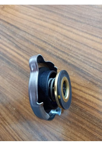 MERCEDES W123 W124 W126 W201 W202 R129 RADYATÖR KAPAĞI