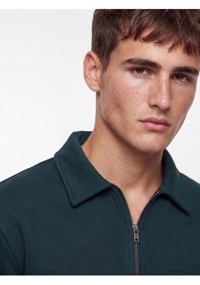 Lcw Vision Petrol Polo Yaka Erkek Sweatshirt