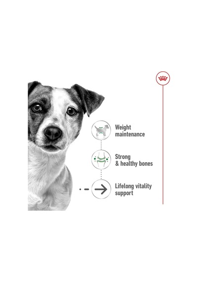 Mini Ageing Küçük Irk Yaşlı Köpek Konservesi +12 Yaş 85 Gr X 12 Adet