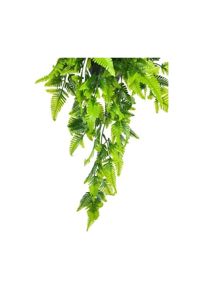 Yapay Çiçek Sarkan Boston Fern Yapraklı Bitki Küçük Siyah Saksıda Yapay Sarmaşık 55cm Diğer