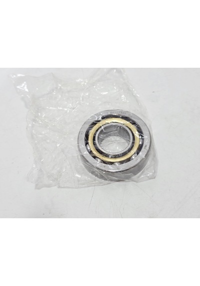 Gea 0011-7305-100 Rulman