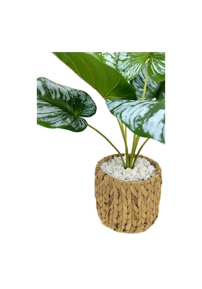 Biçiçek Yapay Salon Bi̇tki̇si̇ Bi̇tki̇si̇ 60 Cm
