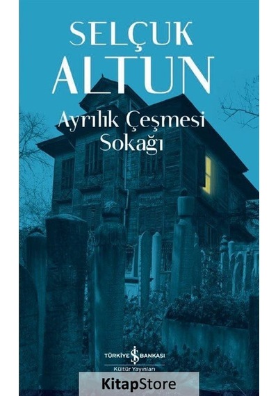 Kitapstore- Ayrılık Çeşmesi Sokağı / Selçuk Altun