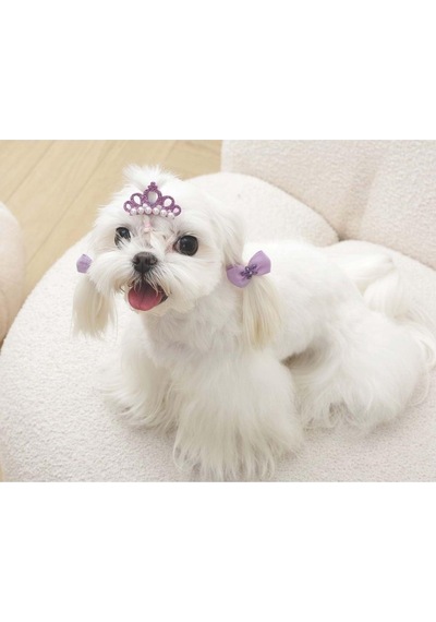 M-pets Glam Taç Ve Fiyonklu Kedi Ve Köpekler İçin Aksesuar Toka Mor Mavi
