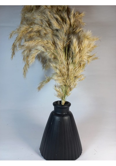 Pampas Vazosu Siyah