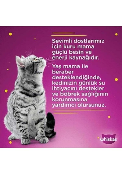 Pouch Pure Delight Jöle İçinde Tavuklu Ve Somonlu Yetişkin Kedi Konservesi 4x85 Gr
