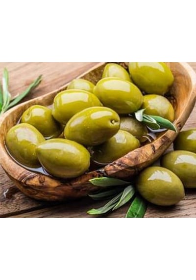 Thebestonline Gemlik Yeşil Zeytin Fidanı, 1 Adet