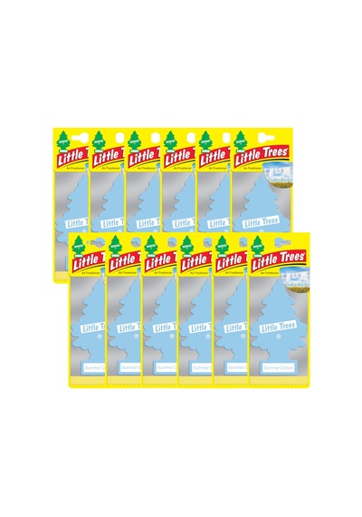 Car Freshner Asma Koku 12'li Yaz Esintisi