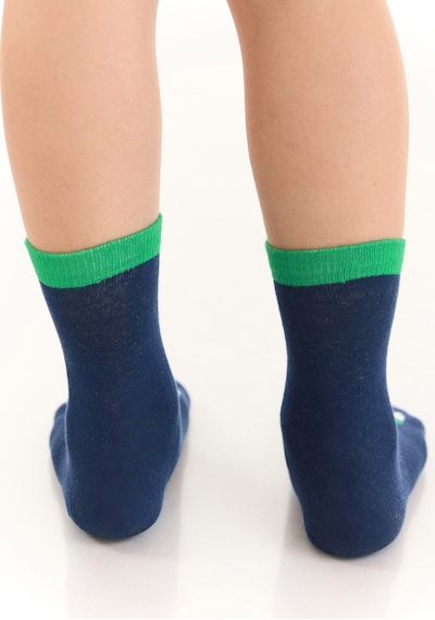 Denokids Tırtır Dino Erkek Çocuk 2li Soket Çorap Takım