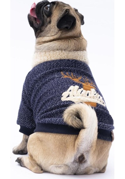 Pawstar Lacivert Alaska Kedi Köpek Sweat- Kedi Köpek Kıyafeti Pawstar Lacivert Alaska Kedi Köpek Sweat- Kedi Köpek Kıyafeti