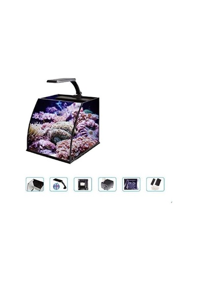 Belly Box 25 Ledli Sumplu Nano Akvaryum 26x26x24cm