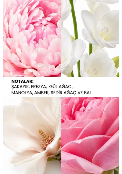 Ixora K294 Rose Kadın Parfüm EDP 100 ML