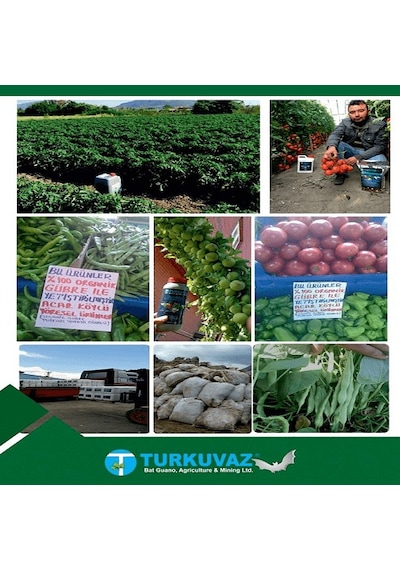 10 L Turkuvaz Bat Power Organik Sıvı Yarasa Gübresi