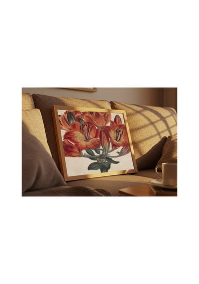 Botanik Curtis Botanik Dergisi Şemsiye Çiçekliler Çerçevesiz Poster 21x30 Cm A4 Botanik Doğa Tarihi