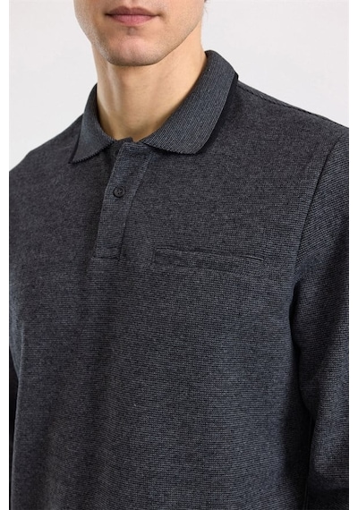 Süvari Antrasit Regular Düz Polo Yaka Sweatshirt Ssw2013700002-s08