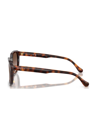 Vogue Vo5595sı W65613 53 Unisex Güneş Gözlüğü Kahverengi