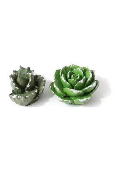 Mini Kaktüs Silikon Kalıp 3.5x2.5x2 Cm