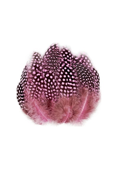 100 Pcs Decor Pink Bırd Feather 100 Adet Puantiyeli Pembe Siyah Kuş Tüyü Dekor Pembe Kuş Tüyü Diğer